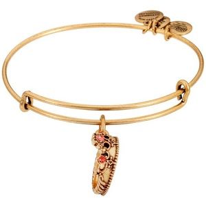 Alex and Ani Queens Crown Charm bracelet